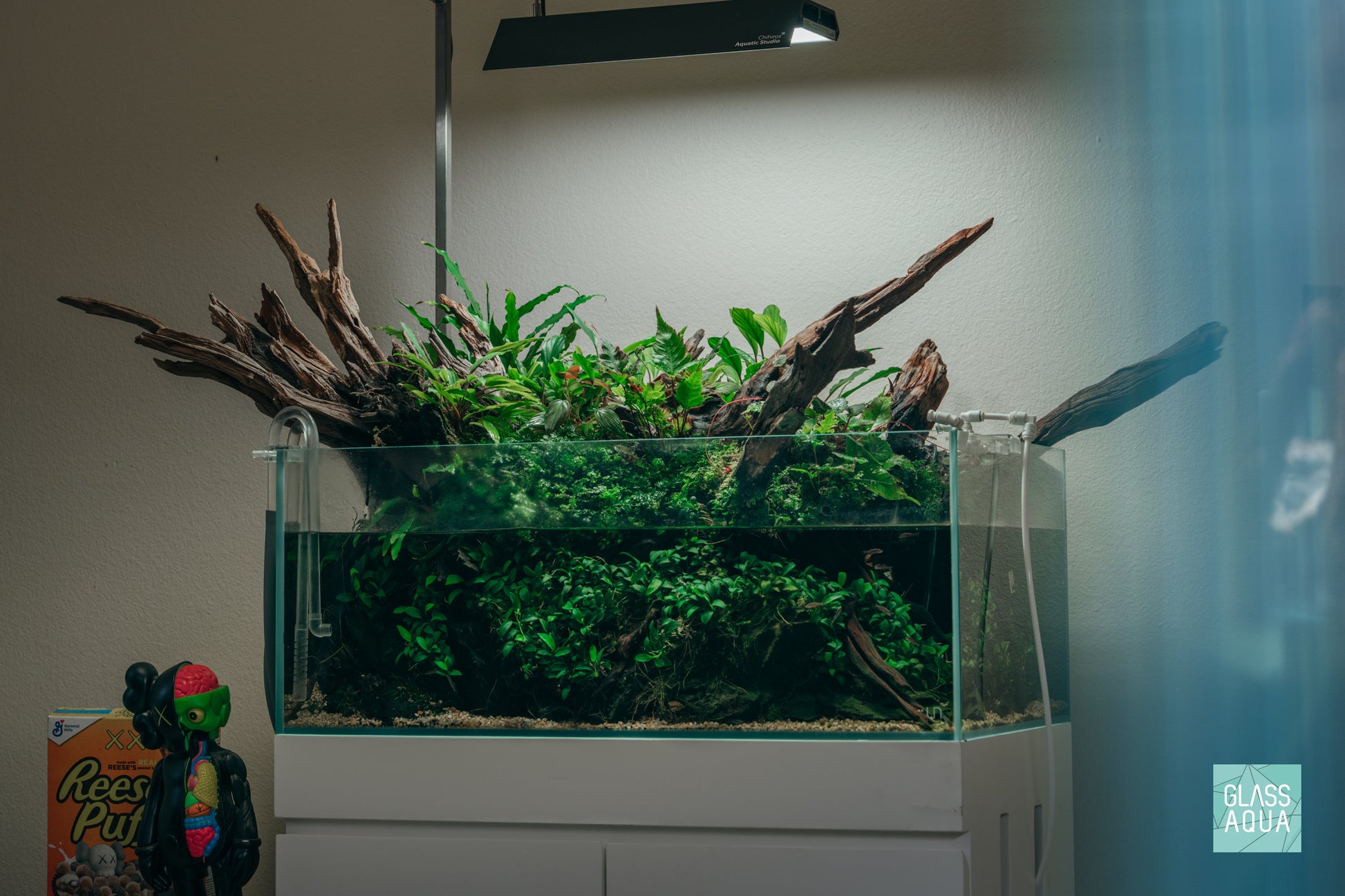 Ultum Nature Systems UNS 75S Shallow Aquarium Paludarium with Jungle Plants