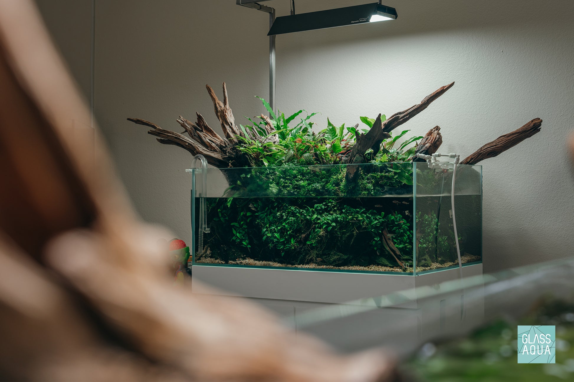 Ultum Nature Systems UNS 75S Shallow Aquarium Paludarium with Jungle Plants
