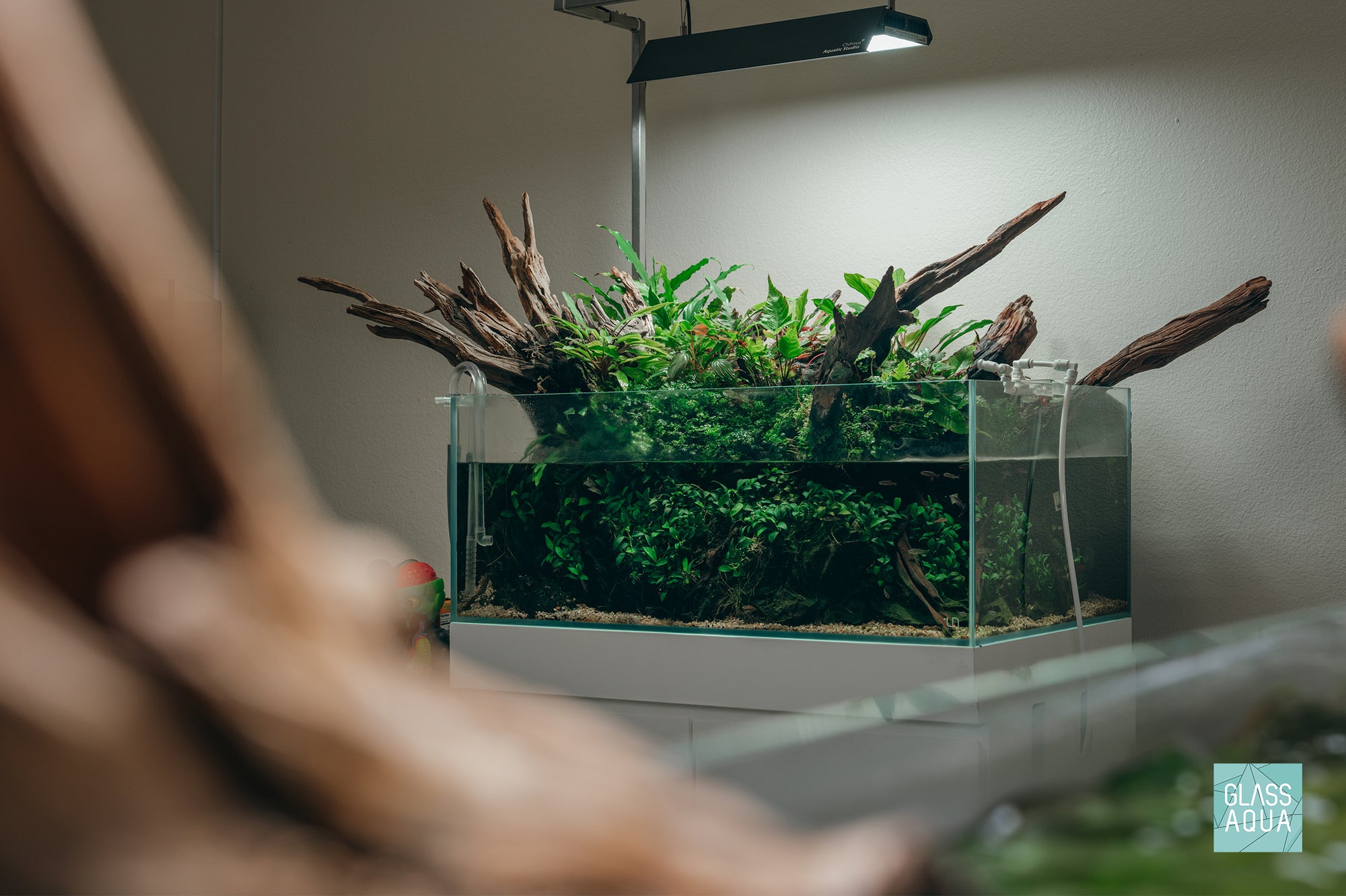 Ultum Nature Systems UNS 75S Shallow Aquarium Paludarium with Jungle Plants