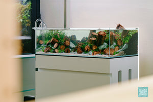 Ultum Nature Systems UNS 60S 10 Gallon Shallow Rimless Glass Aquarium Hardscape