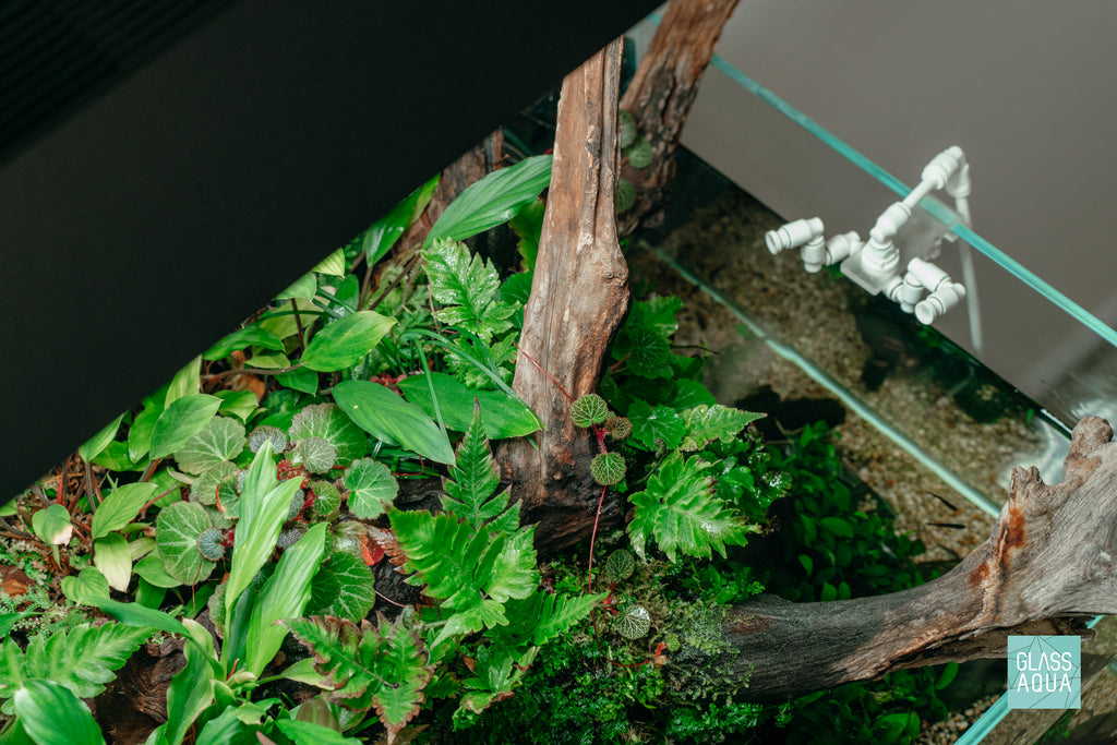 Ultum Nature Systems UNS 75S Shallow Aquarium Paludarium with Jungle Plants