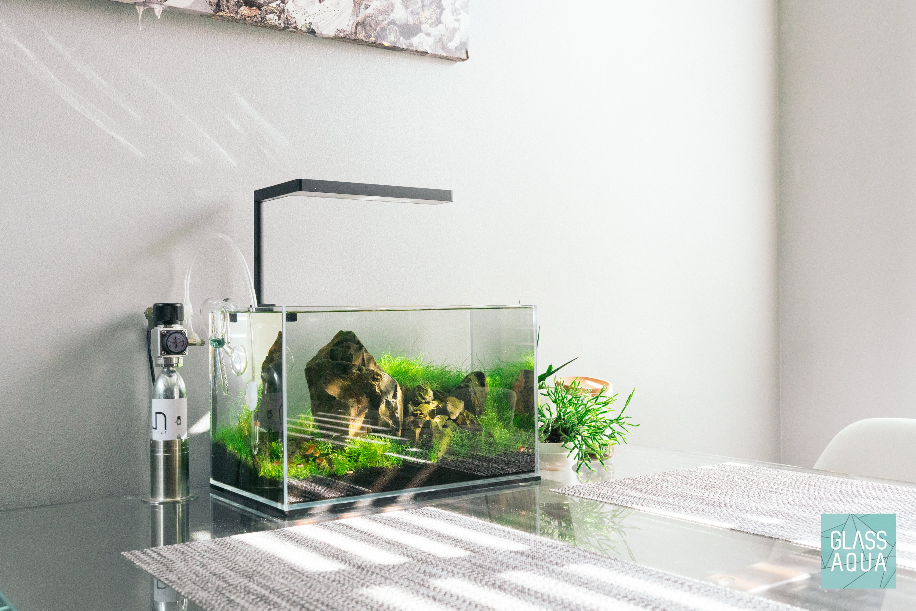 Yama Mini - Nano Iwagumi Scape | Glass Aqua