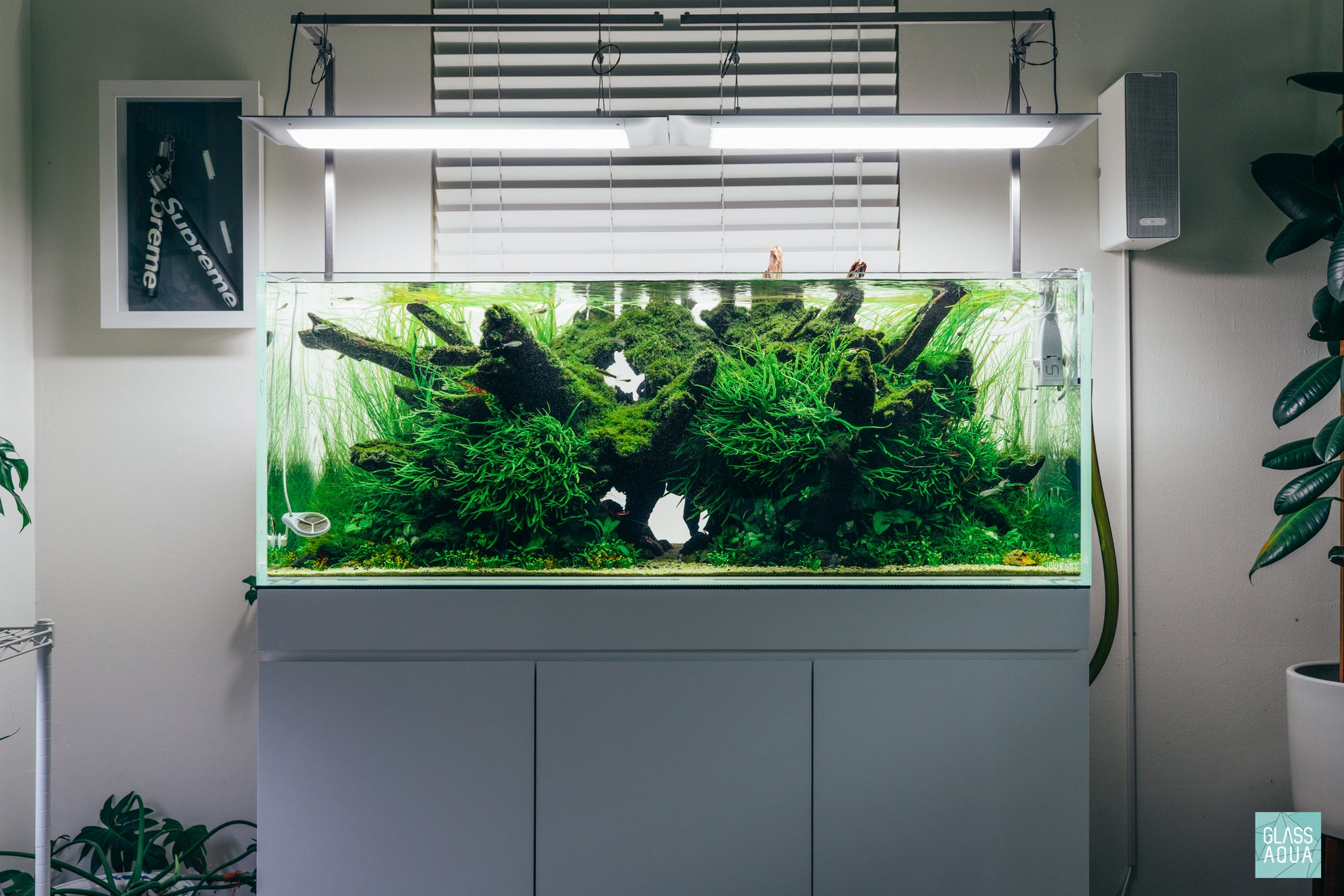 Build Your Own Pro CO2 Kit - Glass Aqua