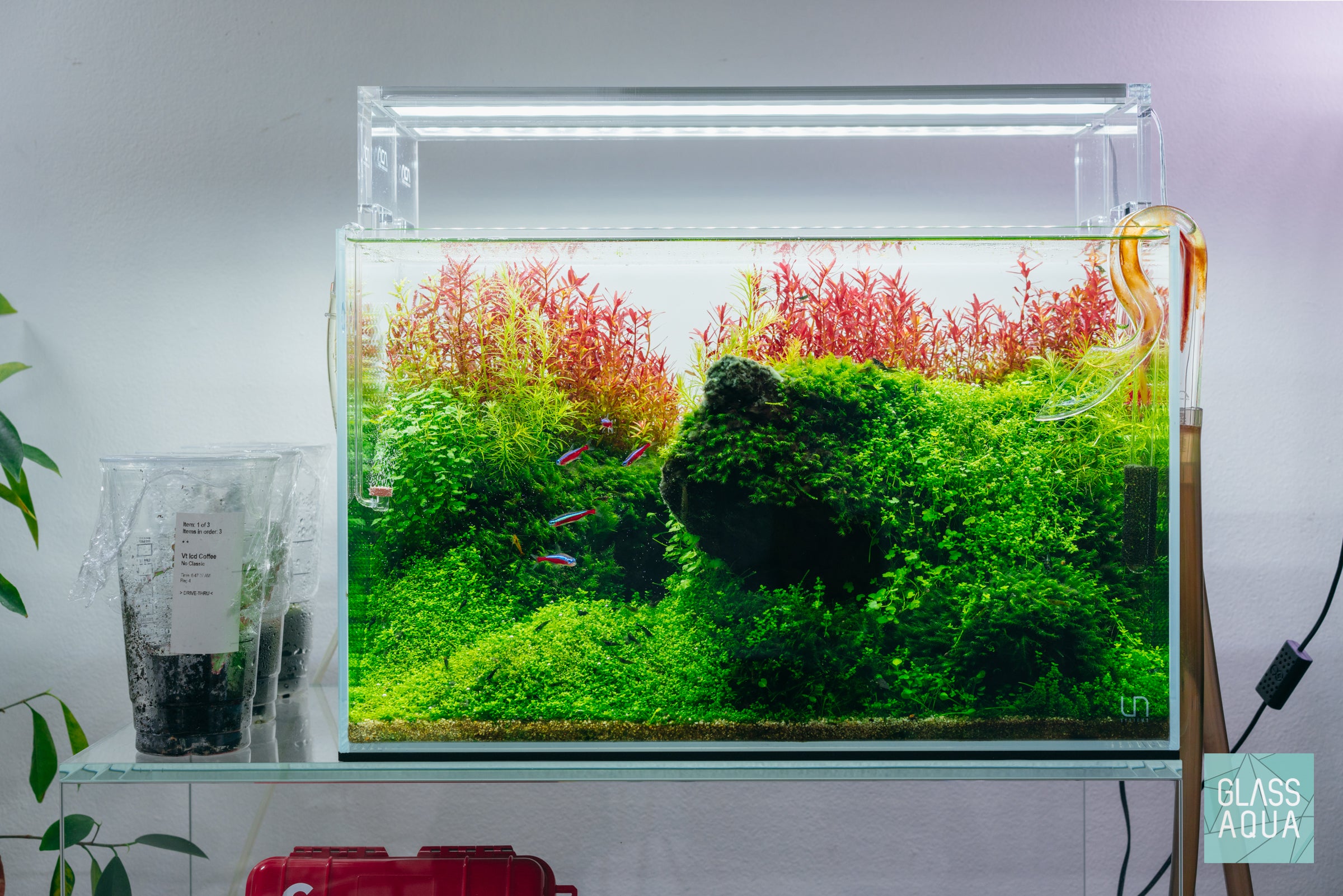 Iwagumi planted nature aquarium tank with stem plants