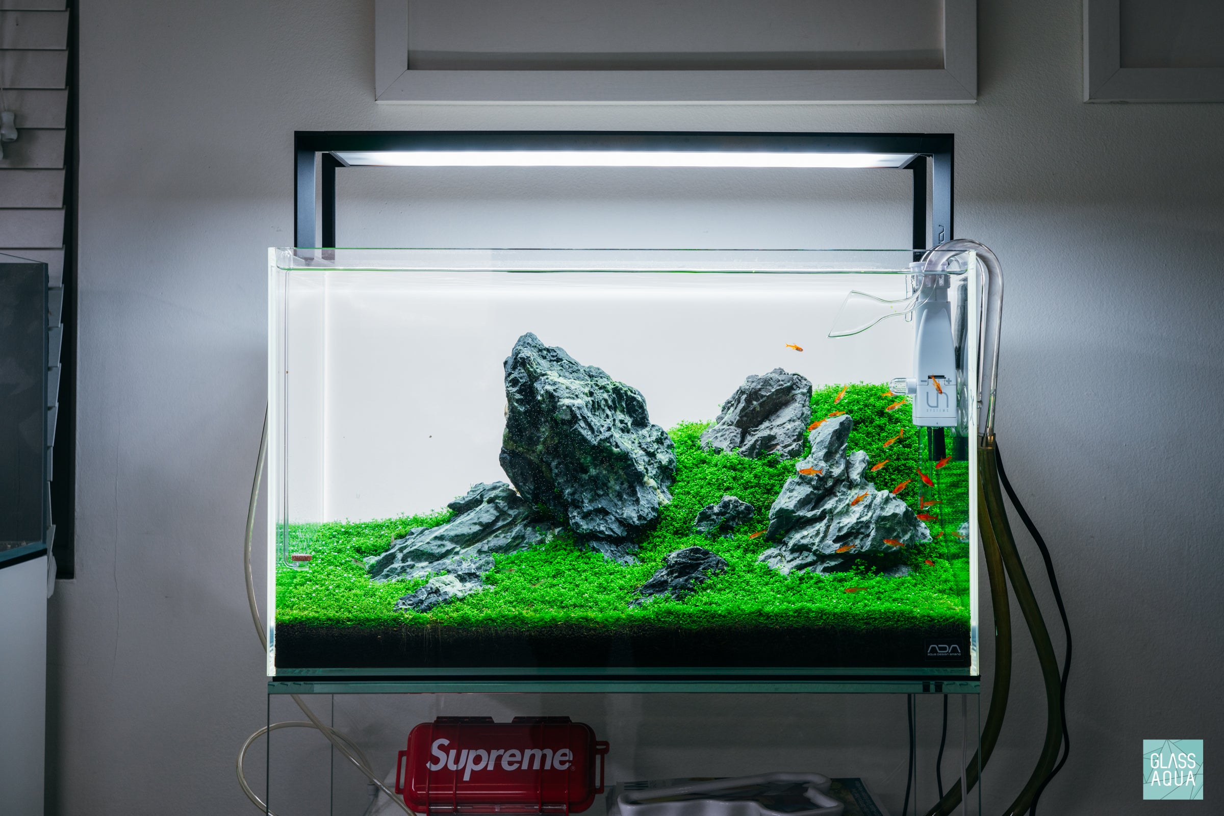 花筏　NＴ-51 Green Cliffs - ADA 60P Iwagumi | Glass Aqua