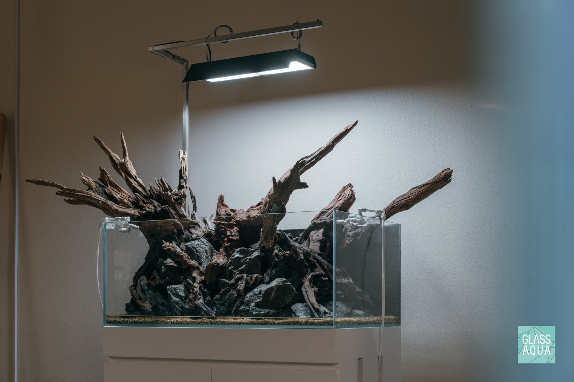 Chihiros Vivid Mini LED Light with Shade Mirror on shallow rimless planted aquarium paludarium