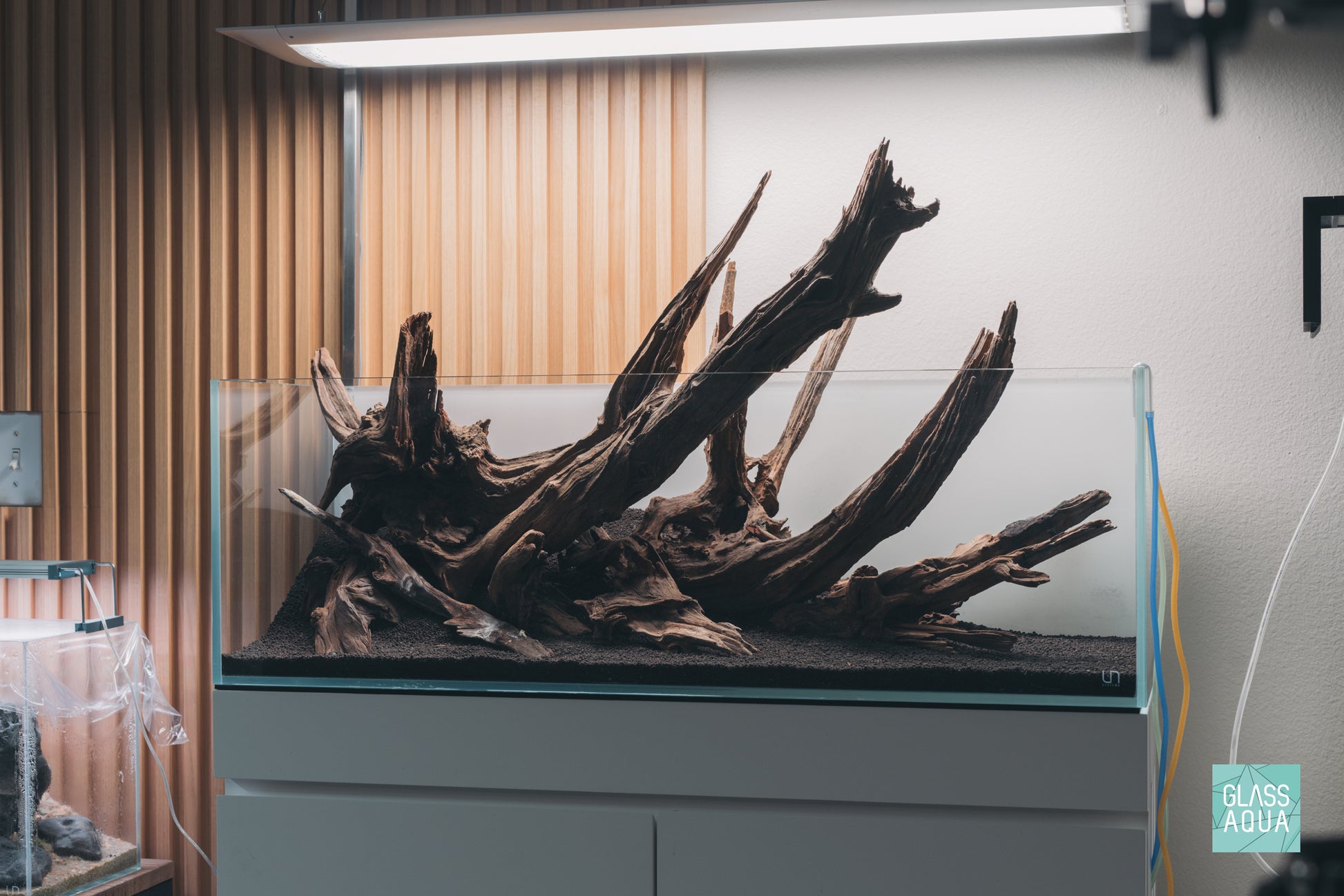 Shop Planted Aquarium Malaysian Driftwood Hardscape - Glass Aqua