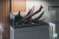 Ultum Nature Systems UNS 90L 20 gallon Long Rimless Glass Aquarium Tank Nature Aquarium Aquascape