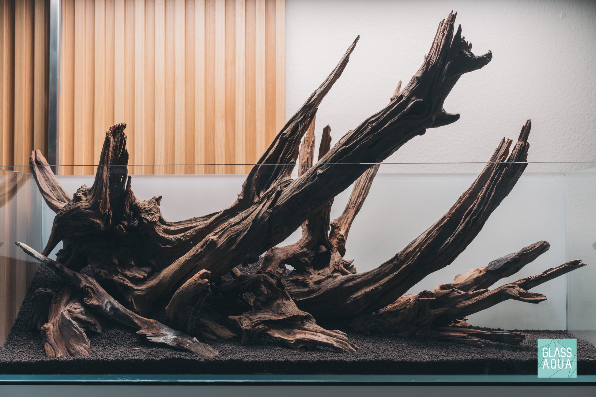 Shop Planted Aquarium Malaysian Driftwood Hardscape - Glass Aqua