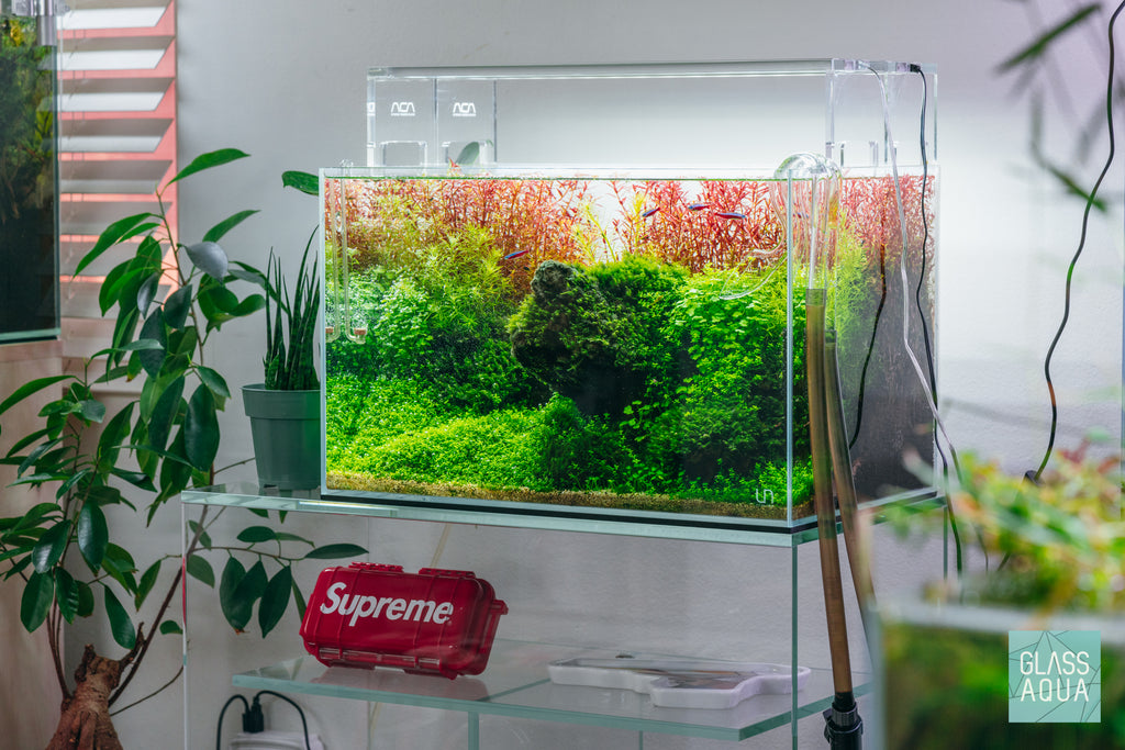 Aquario Neo Solution Complex All-In-One Aquarium Plant Liquid Fertilizer