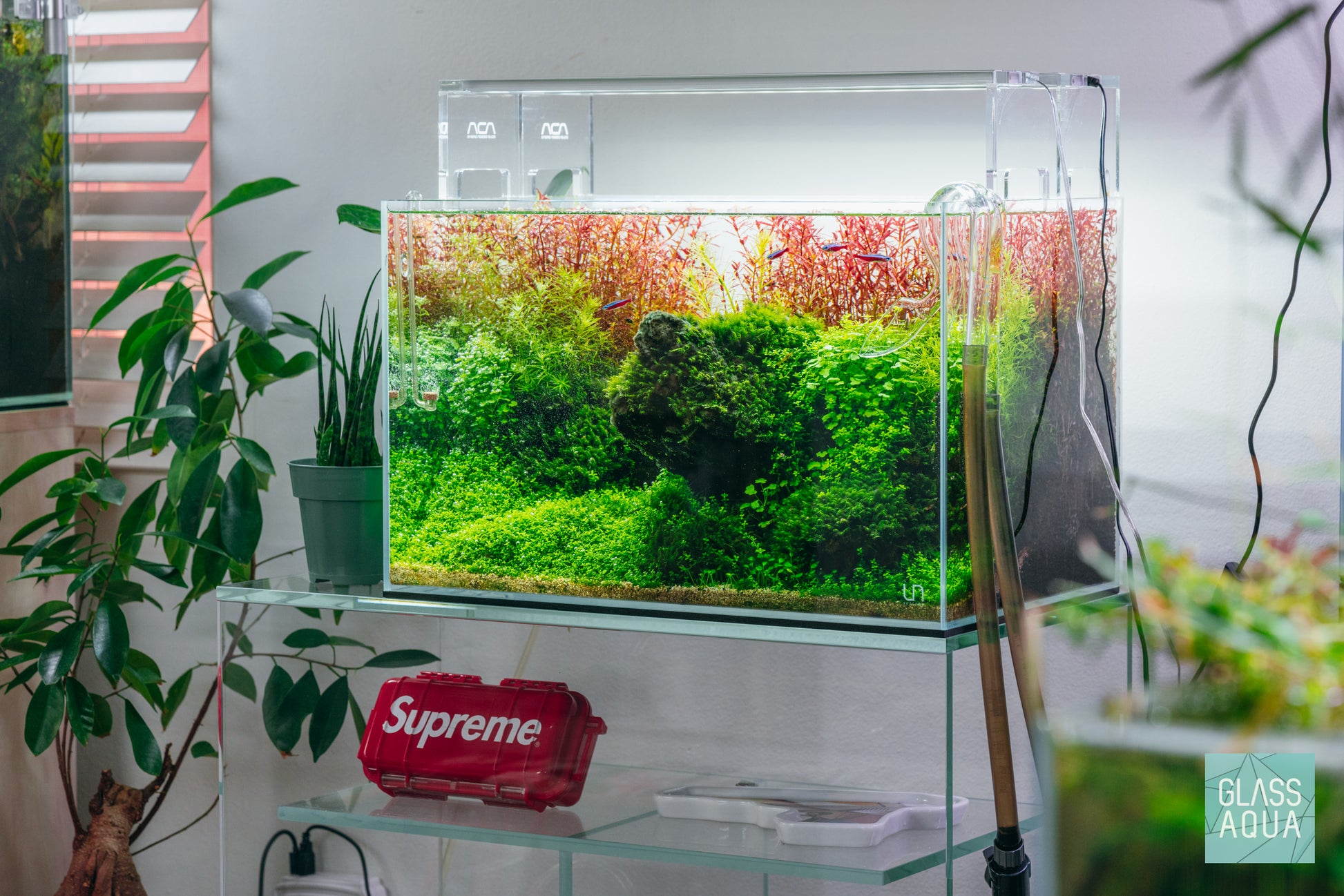Aquario Neo Solution Complex All-In-One Aquarium Plant Liquid Fertilizer