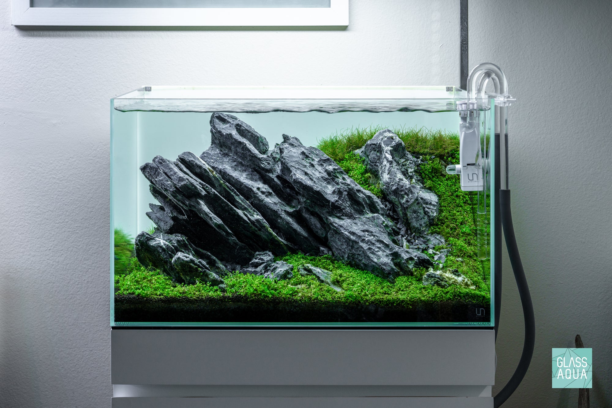 Iwagumi aquascape in UNS 60U by Glass Aqua