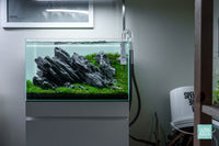 Green Glacier Iwagumi planted aquarium in UNS 60U rimless tank by Glass Aqua