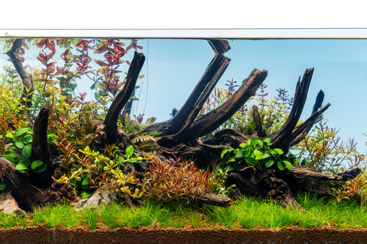 Ultum Nature Systems UNS Limited Edition Blue Background Rimless Aquarium Tank