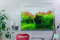 Brazilian style Iwagumi aquascape in the Ultum Nature Systems 45U by Glass Aqua