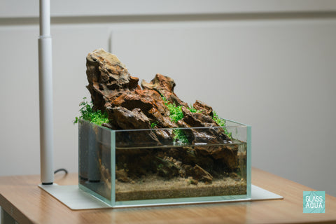 Desktop Shallow Aquarium Starter Kit - Glass Aqua