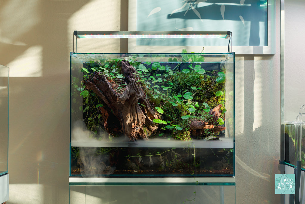 Build Your Own Tank and Stand Bundle - Glass Aqua