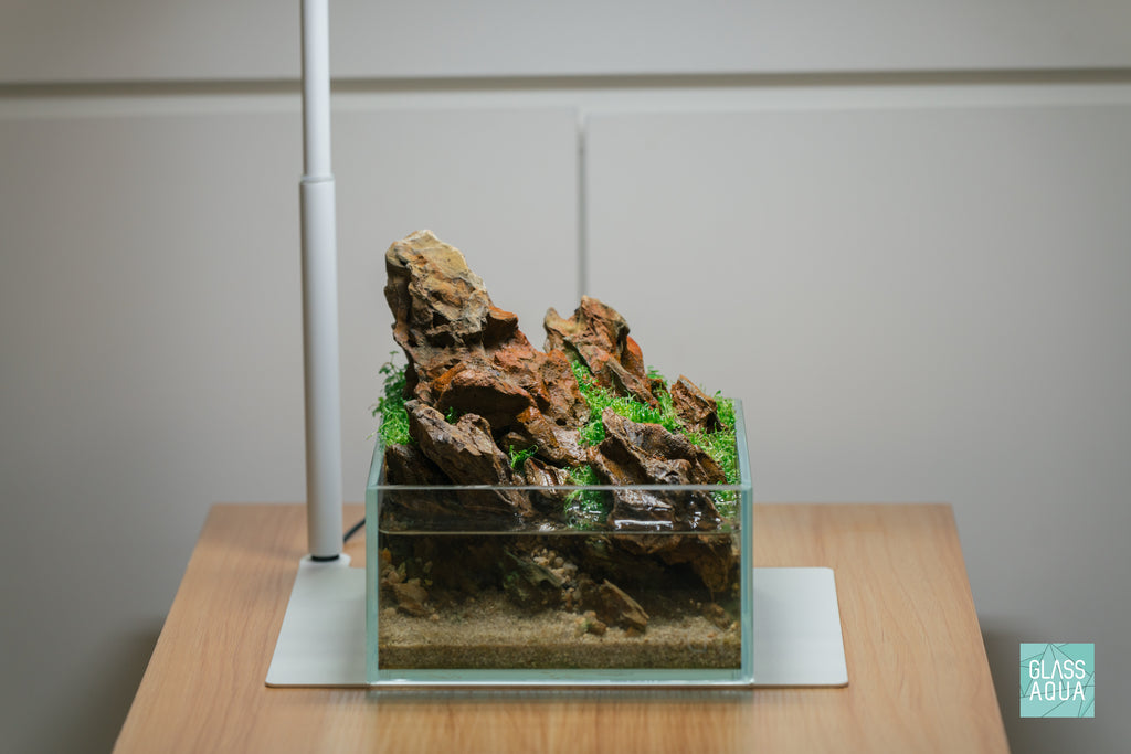 ONF Flat Nano Stand LED Light for Desktop Plant and Nano Aquarium