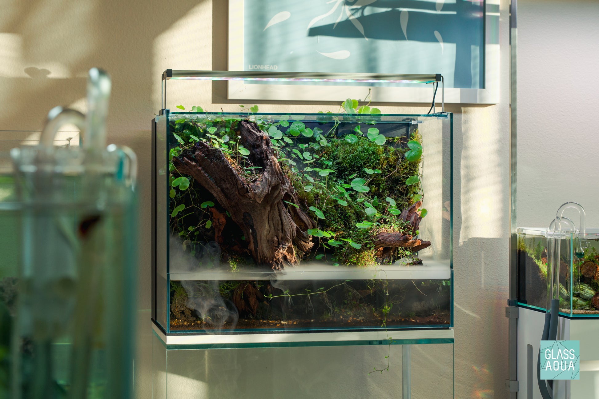 Build Your Own Integrated Paludarium Kit - Glass Aqua