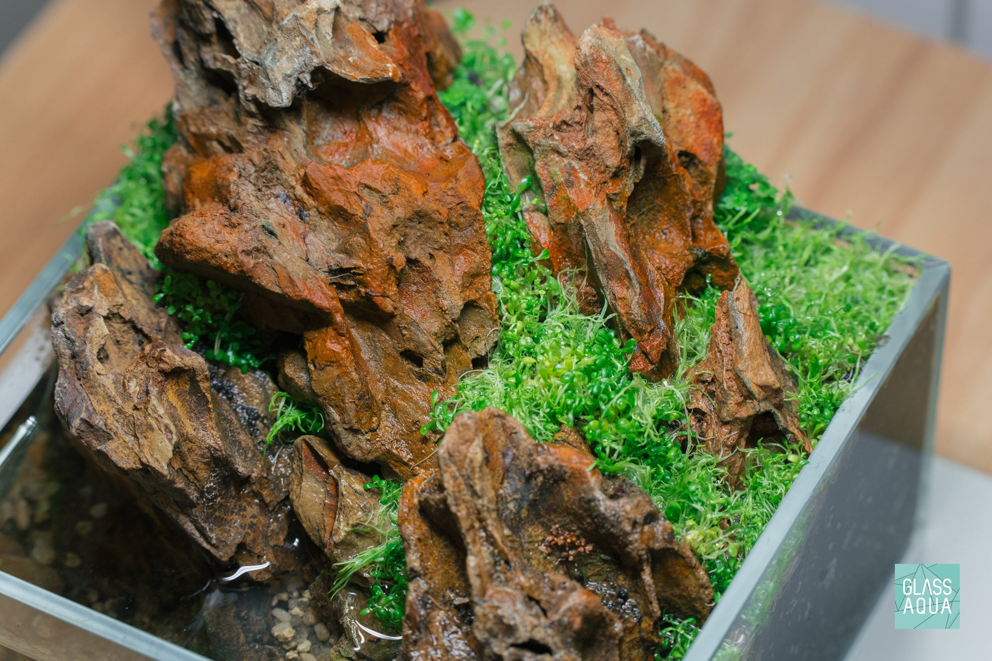 Shop Ohko Dragon Stone Accent Rocks Hardscape - Glass Aqua