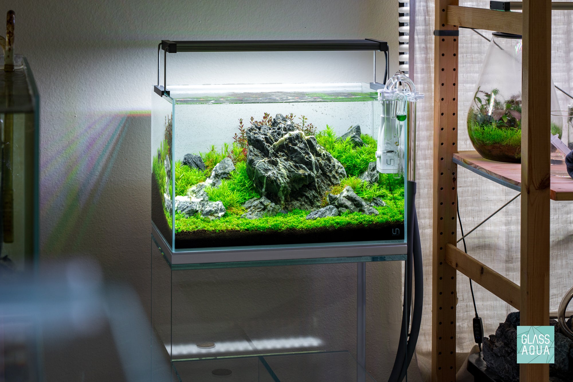 Vermillion Rush - Iwagumi Aquascape in UNS 45U 9.3 gallon planted tank by Glass Aqua