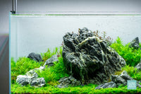 Vermillion Rush - Iwagumi Aquascape with Seiryu Stone and bright aquarium stem plants 