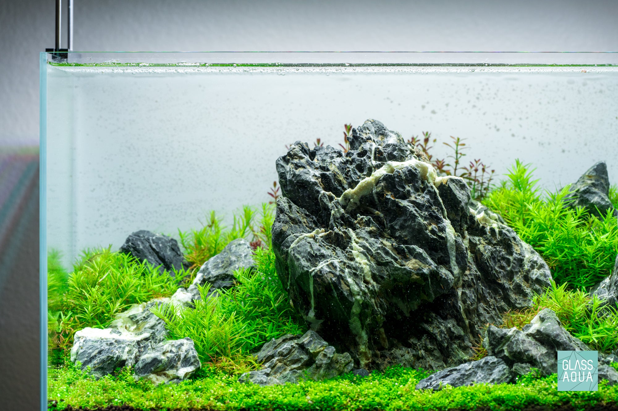 Vermillion Rush - Iwagumi Aquascape with Seiryu Stone and bright aquarium stem plants 