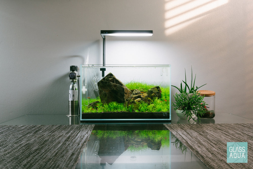 Nano Iwagumi aquascape with carpeting aquarium plants - Glass Aqua
