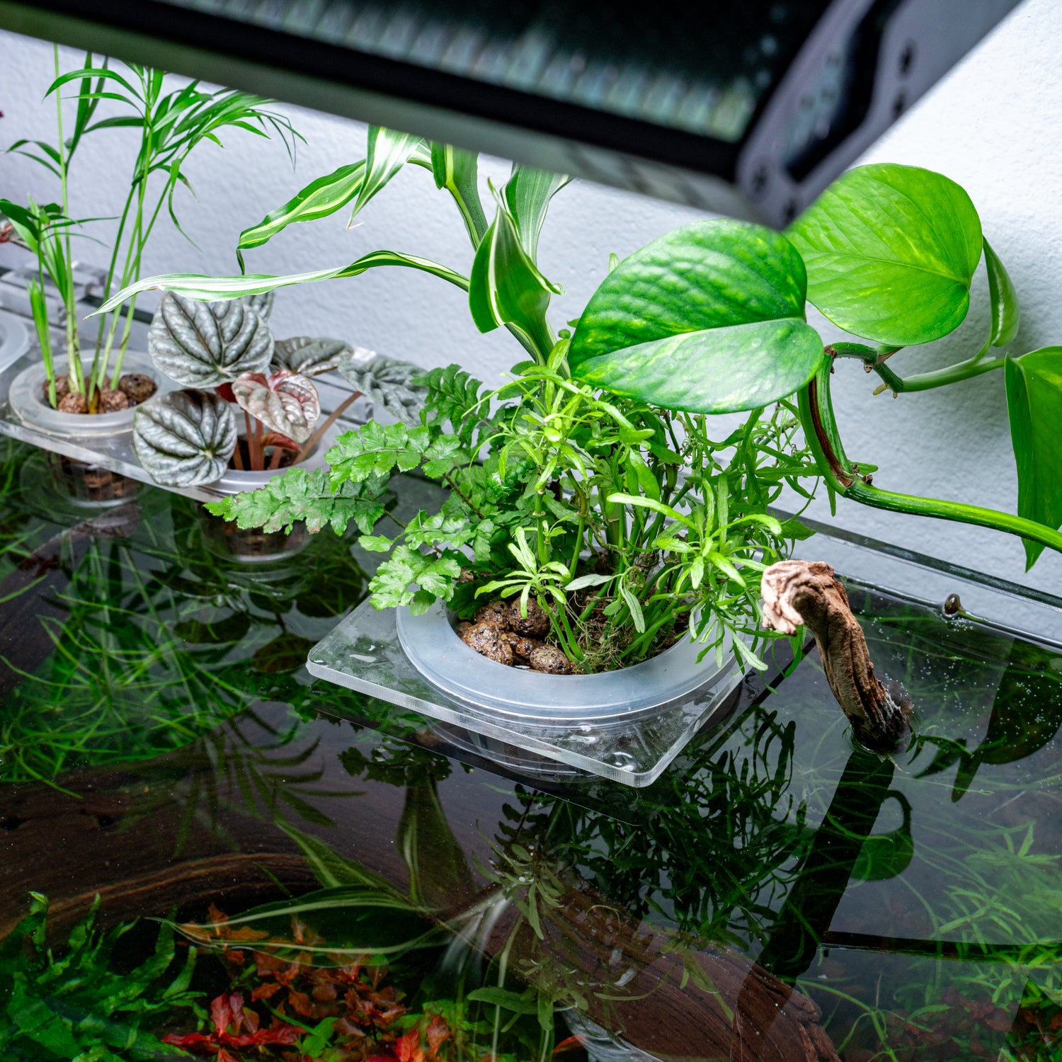 Hydroponic Planter Pot - Medium - Glass Aqua