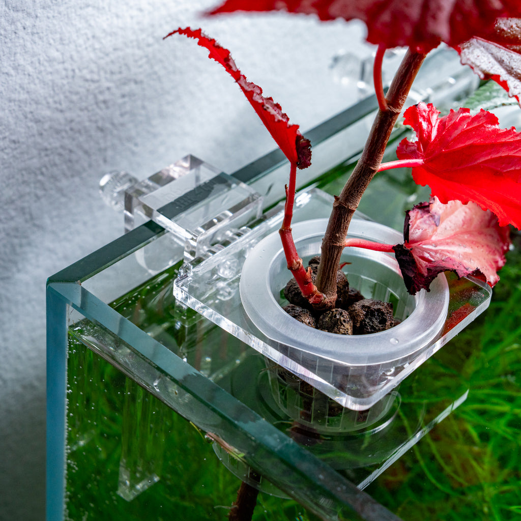Hydroponic Planter Pot - Medium - Glass Aqua