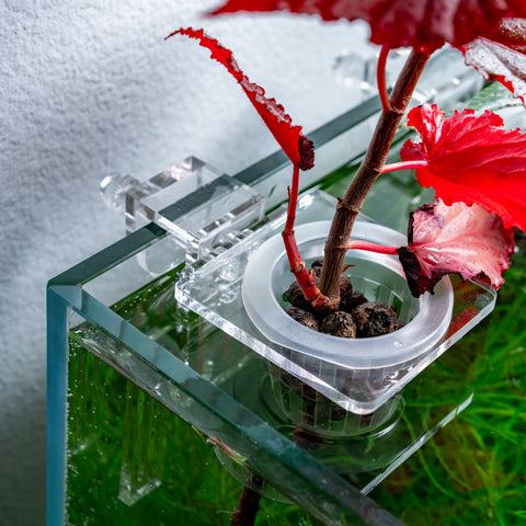 Hydroponic Planter Pot - Small, Triple Holder - Glass Aqua