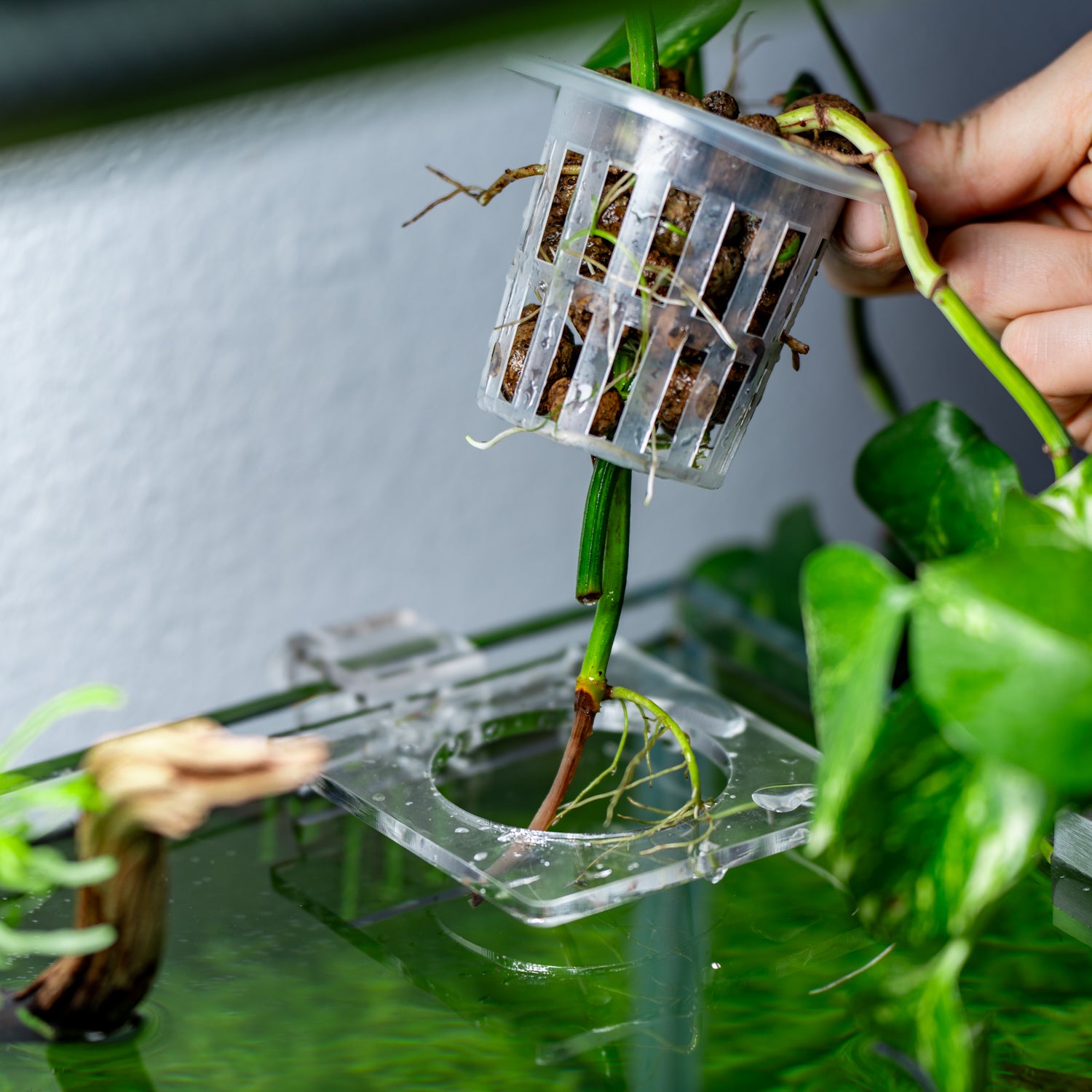 hydroponic plant pot Hydroponic Planter Pot