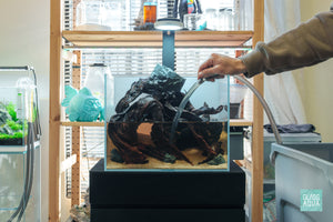 Ultum Nature Systems Nano Planted Aquarium by Glass Aqua