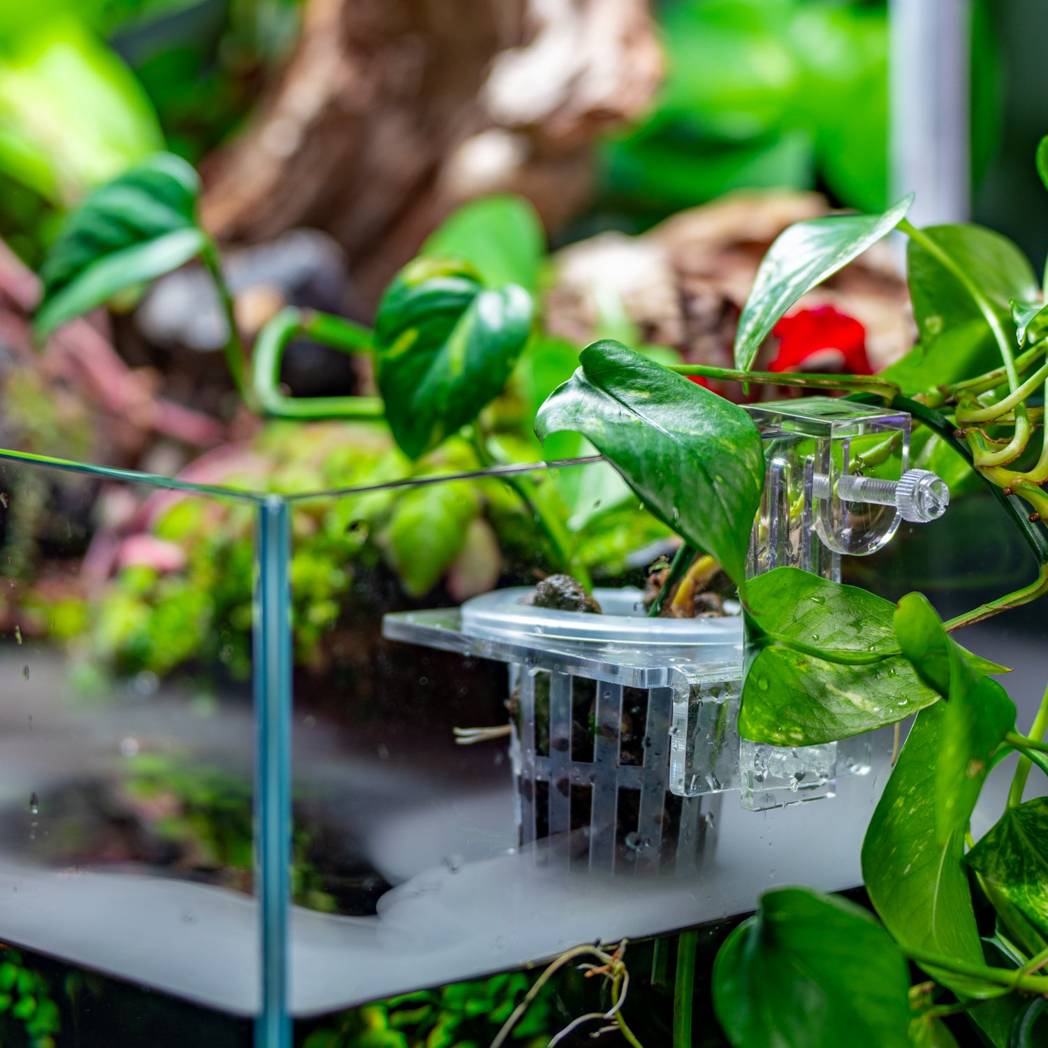 Hydroponic Planter Pot - Small - Glass Aqua