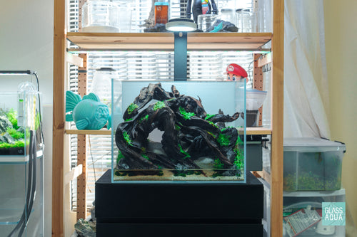 Chihiros Magnetic Light 2 On Ultum Nature Systems UNS 5T Nano Tall Planted Aquarium Tank