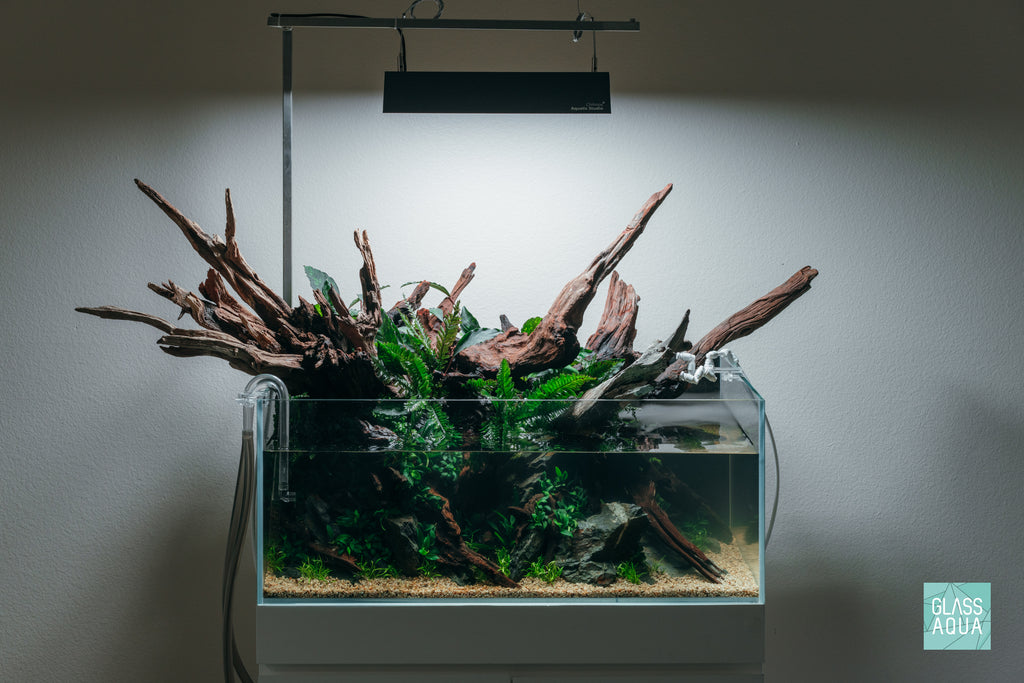 Ultum Nature Systems Rimless Low Shallow Glass Aquarium Tank