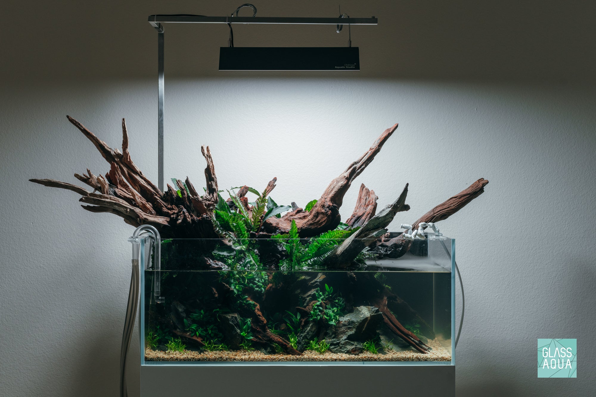 Ryuboku UNS 75S shallow planted aquarium design by Glass Aqua
