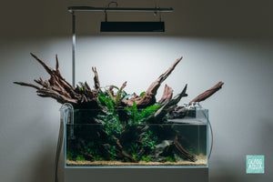 Ryuboku UNS 75S shallow planted aquarium design by Glass Aqua