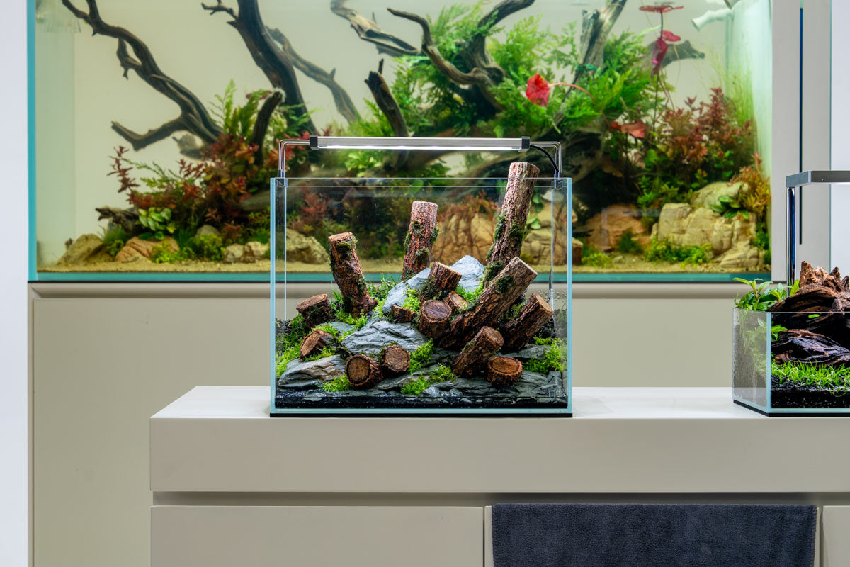 Ultum Nature Systems Controsand - Maui