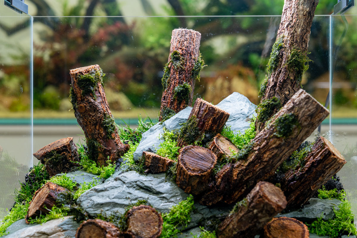 Log Wood