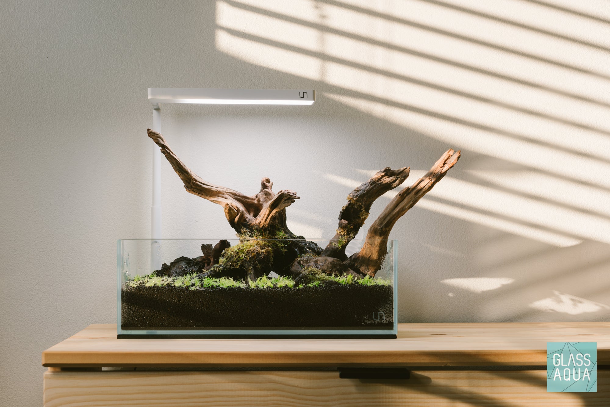 Ultum Nature Systems 5S shallow aquascape with carnivorous plants and driftwood