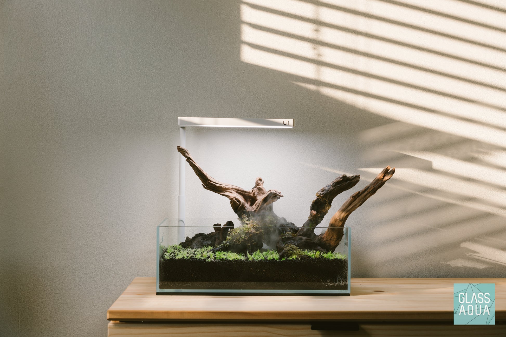 Ultum Nature Systems UNS 5S Shallow nano planted aquarium bog tank for Utricularia Gramminifolia