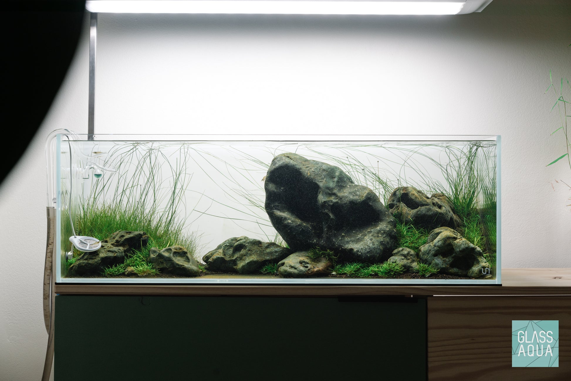 Build Your Own Iwagumi Aquascape - Starter Kit