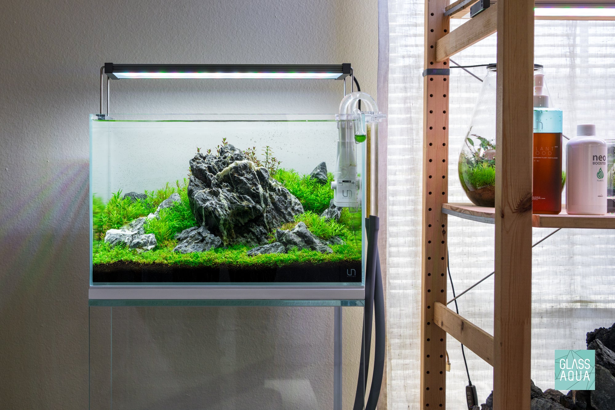 Vermillion Rush - Iwagumi Planted Aquarium design by Glass Aqua