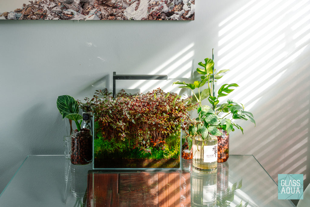 UNS Rimless Nano Glass Aquarium Tank - Glass Aqua