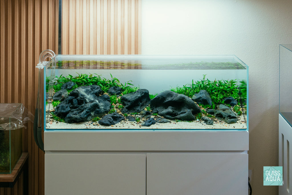 Ultum Nature Systems UNS 90L 20 Gallon Long Planted Aquarium Tank Hakkai Stone Iwagumi Hardscape