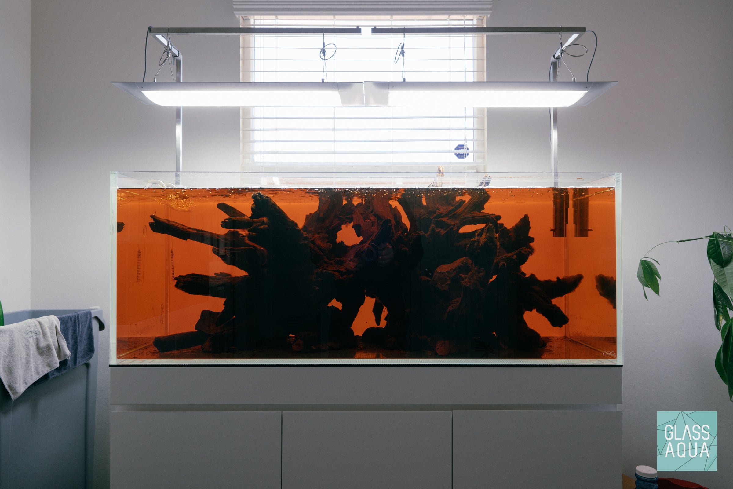 Phoenix Rising - ADA 120P Planted Aquarium | Glass Aqua