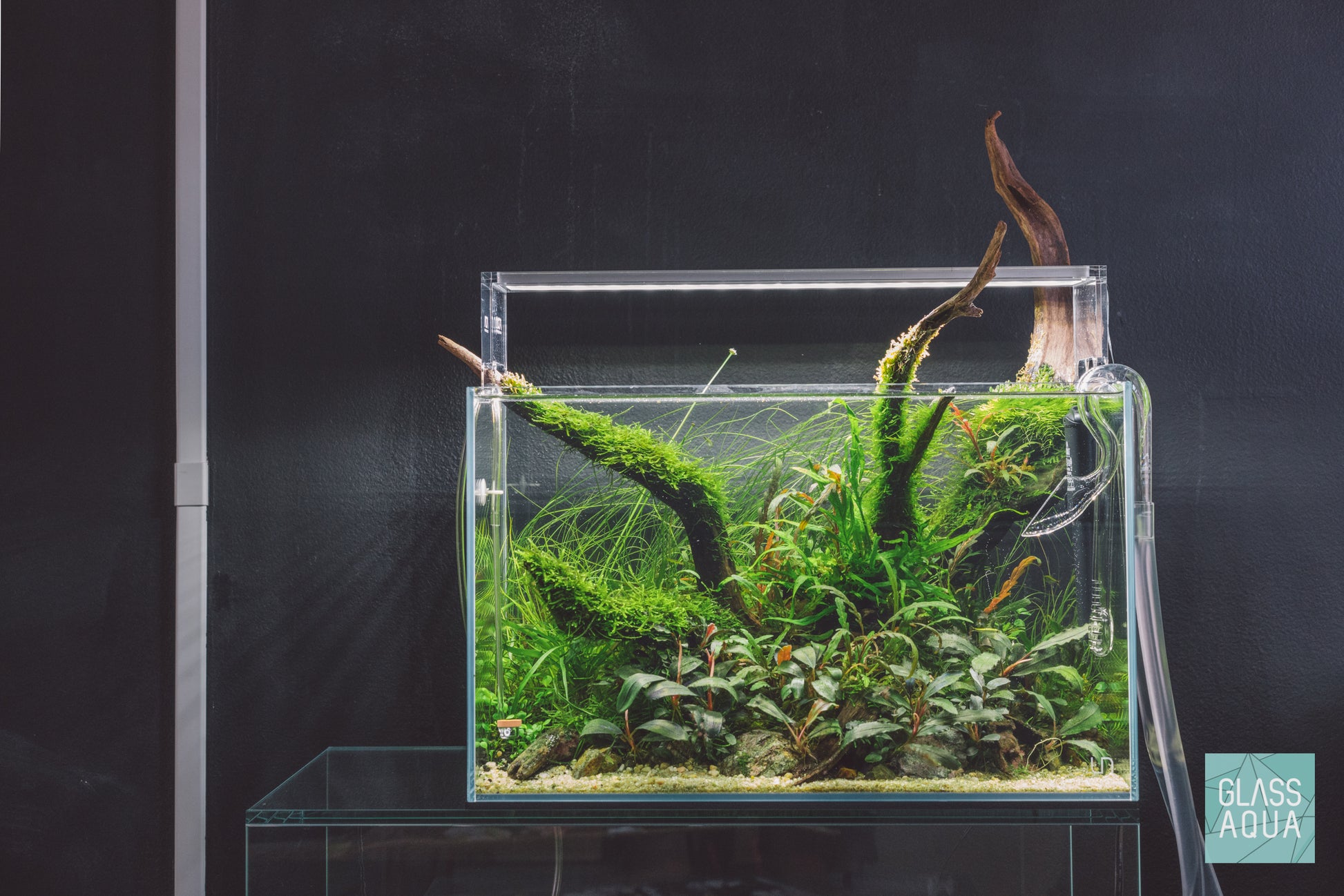 Ultum Nature Systems UNS 45U Nature Aquarium Planted Tank