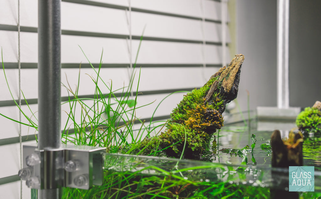 Build Your Own Moss-Covered Driftwood Decor