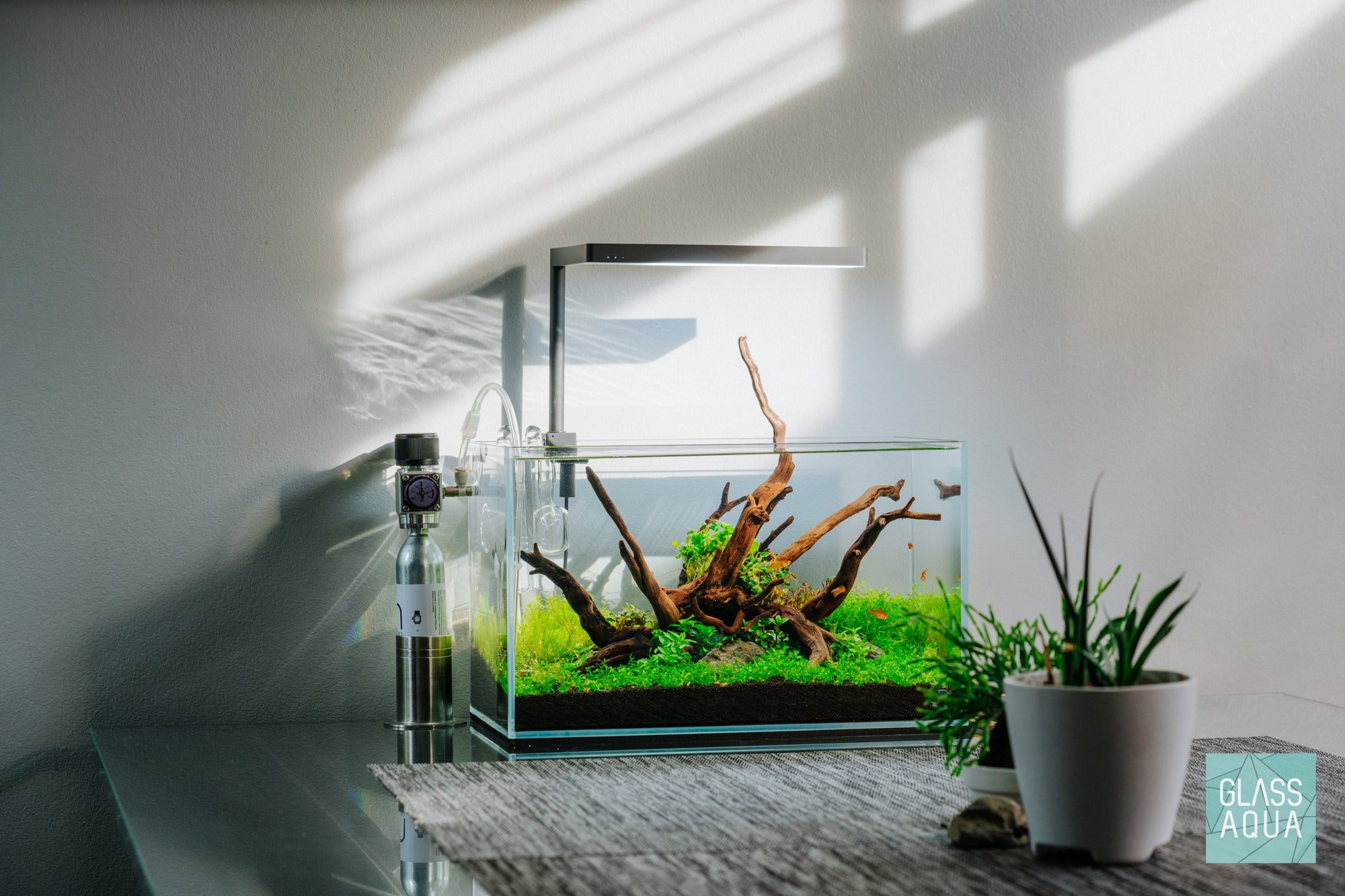 Changing Seasons Redux nano aquascape by Glass Aqua